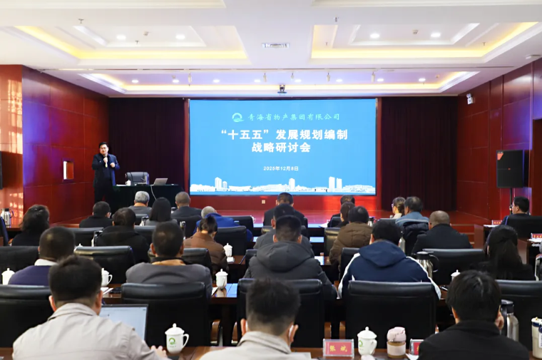 聚勢(shì)謀遠(yuǎn) 破局立新&mdash;&mdash;集團(tuán)召開(kāi)&ldquo;十五五&rdquo;發(fā)展規(guī)劃編制戰(zhàn)略研討會(huì)